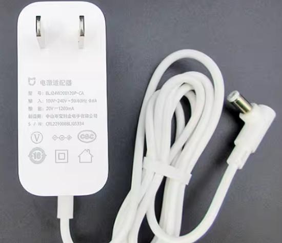 *Brand NEW*Original BLJ24W200120P-CA 20V 1200MA AC ADAPTER Power Supply